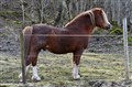 DSC_2860.JPG