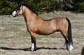 DSC_2982.JPG