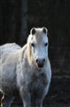 DSC_3036.JPG