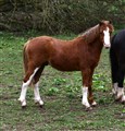 DSC_3517.JPG