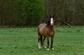 DSC_3604.JPG