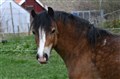 DSC_3819.JPG