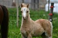 DSC_5337.JPG