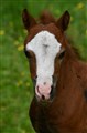 DSC_5958.JPG
