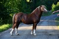 DSC_6887.JPG
