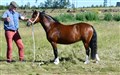 DSC_7039.JPG