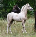 DSC_7224.JPG