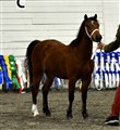 DSC_7720.JPG