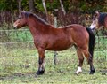 DSC_8344.JPG