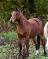 DSC_8429.JPG