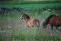 DSC_8910.JPG