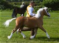 hunk_nps_11.jpg